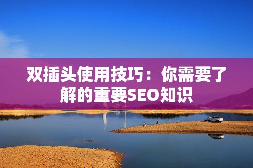 双插头使用技巧：你需要了解的重要SEO知识