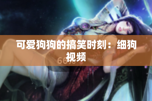 可爱狗狗的搞笑时刻：细狗视频