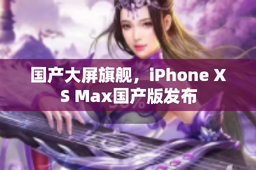 国产大屏旗舰，iPhone XS Max国产版发布