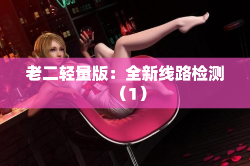 老二轻量版：全新线路检测（1）