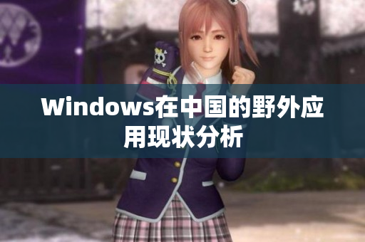Windows在中国的野外应用现状分析