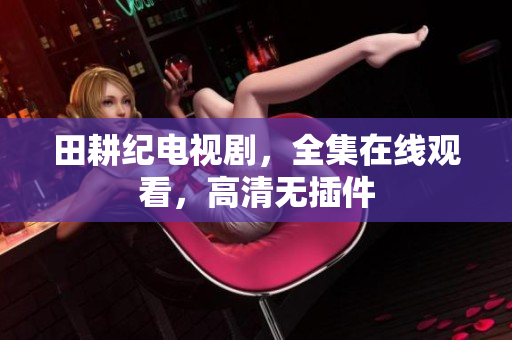 田耕纪电视剧，全集在线观看，高清无插件