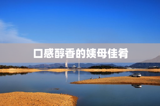 口感醇香的姨母佳肴
