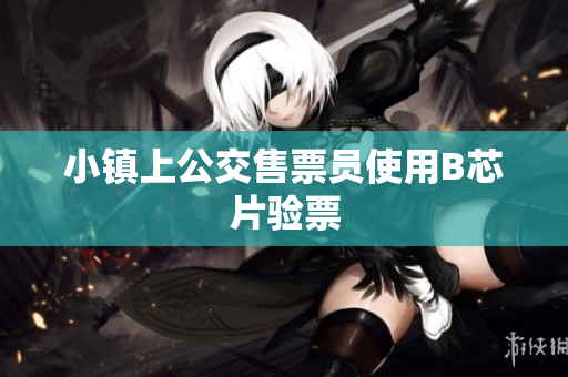 小镇上公交售票员使用B芯片验票