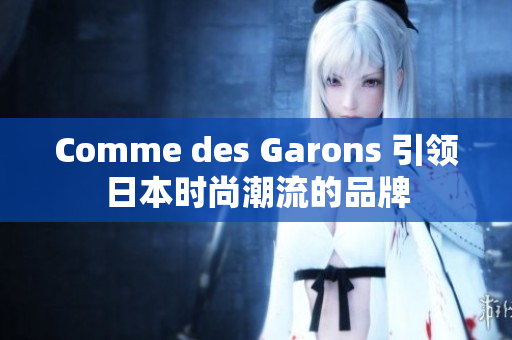 Comme des Garons 引领日本时尚潮流的品牌