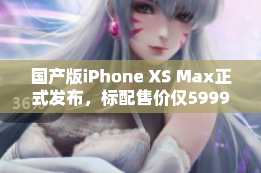 国产版iPhone XS Max正式发布，标配售价仅5999元