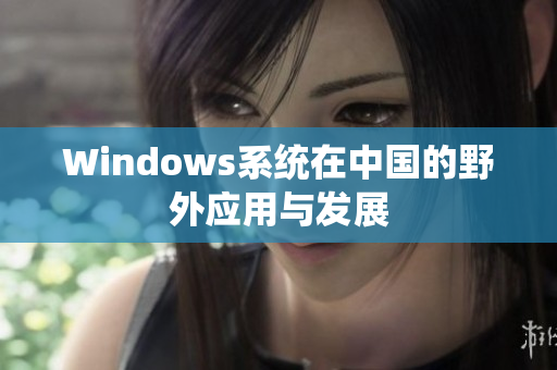 Windows系统在中国的野外应用与发展