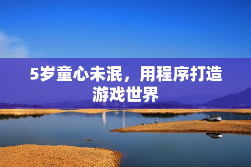 5岁童心未泯，用程序打造游戏世界