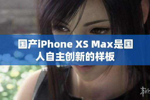 国产iPhone XS Max是国人自主创新的样板