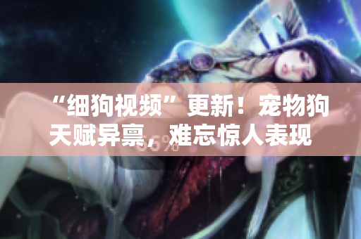 “细狗视频”更新！宠物狗天赋异禀，难忘惊人表现