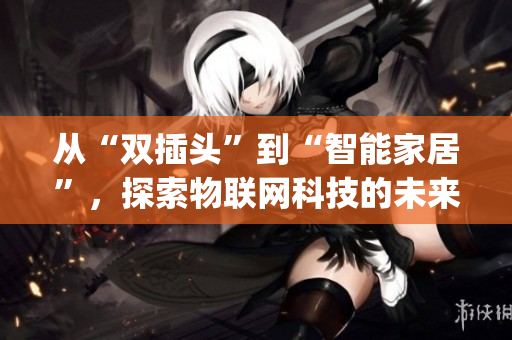 从“双插头”到“智能家居”，探索物联网科技的未来)
