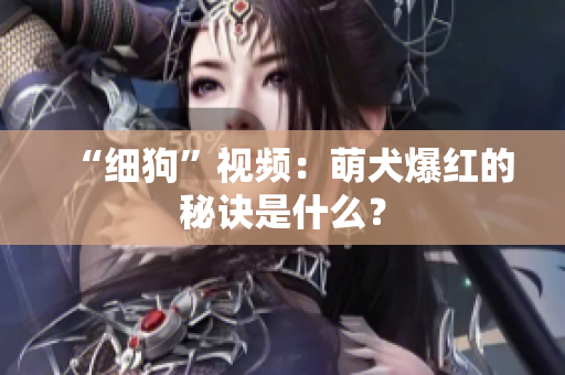 “细狗”视频：萌犬爆红的秘诀是什么？