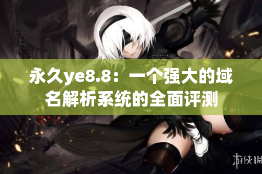 永久ye8.8：一个强大的域名解析系统的全面评测