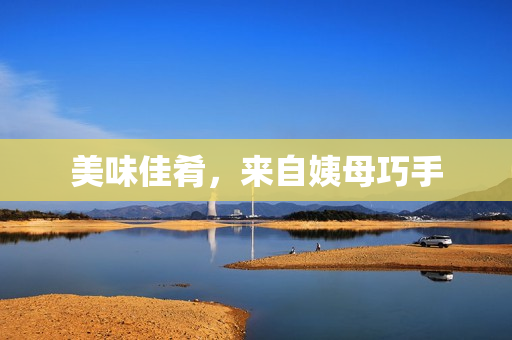 美味佳肴，来自姨母巧手