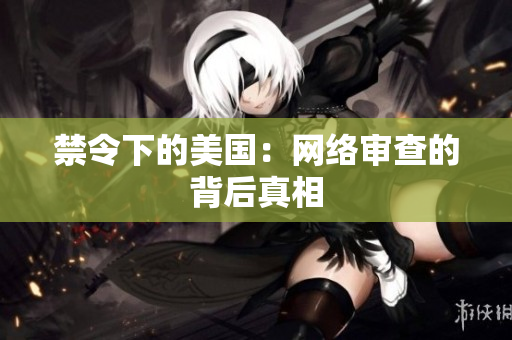 禁令下的美国：网络审查的背后真相