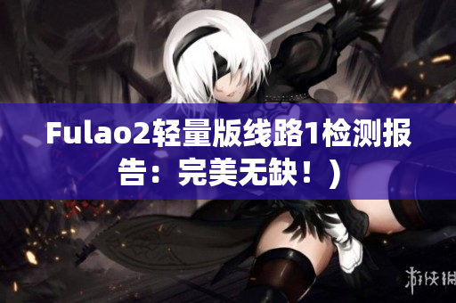 Fulao2轻量版线路1检测报告：完美无缺！)