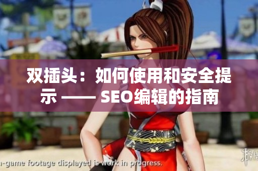 双插头：如何使用和安全提示 —— SEO编辑的指南