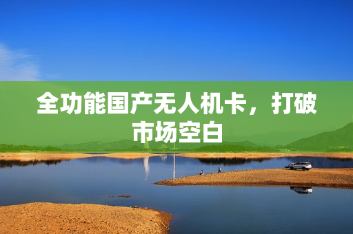 全功能国产无人机卡，打破市场空白