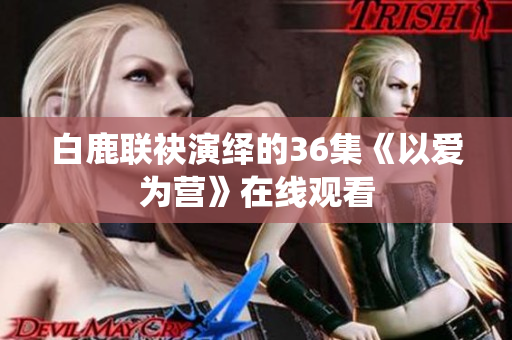 白鹿联袂演绎的36集《以爱为营》在线观看