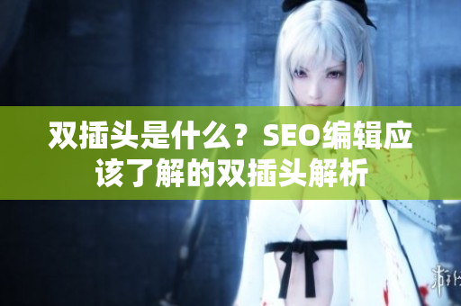 双插头是什么？SEO编辑应该了解的双插头解析