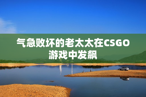 气急败坏的老太太在CSGO游戏中发飙