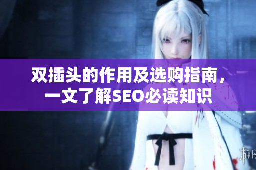 双插头的作用及选购指南，一文了解SEO必读知识