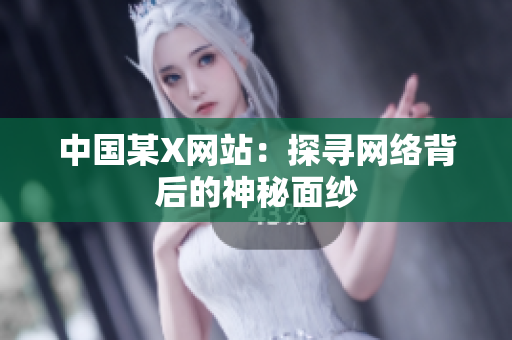 中国某X网站：探寻网络背后的神秘面纱