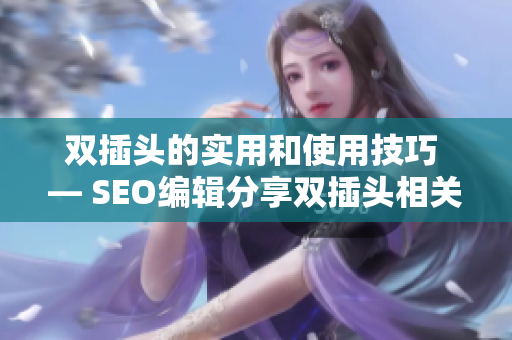 双插头的实用和使用技巧 — SEO编辑分享双插头相关知识