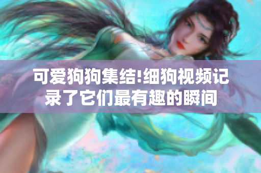 可爱狗狗集结!细狗视频记录了它们最有趣的瞬间