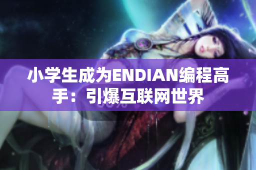 小学生成为ENDIAN编程高手：引爆互联网世界