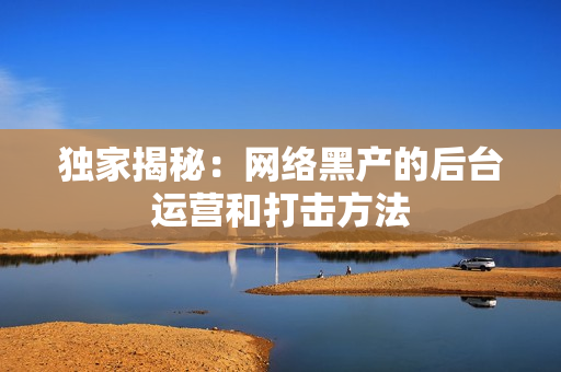 独家揭秘：网络黑产的后台运营和打击方法