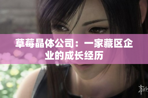 草莓晶体公司：一家藏区企业的成长经历