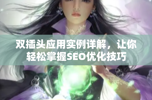 双插头应用实例详解，让你轻松掌握SEO优化技巧