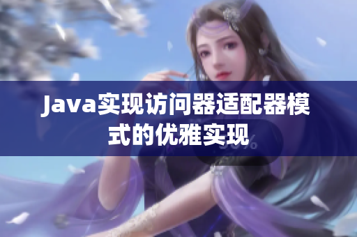 Java实现访问器适配器模式的优雅实现