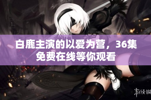 白鹿主演的以爱为营，36集免费在线等你观看