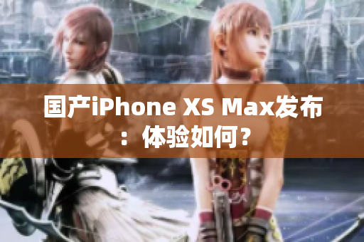 国产iPhone XS Max发布：体验如何？