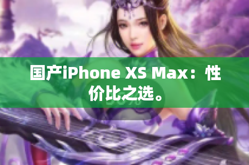 国产iPhone XS Max：性价比之选。