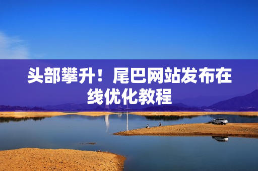 头部攀升！尾巴网站发布在线优化教程