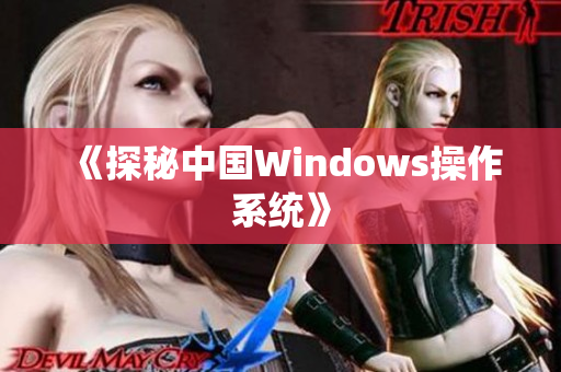 《探秘中国Windows操作系统》
