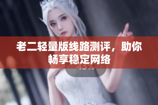 老二轻量版线路测评，助你畅享稳定网络