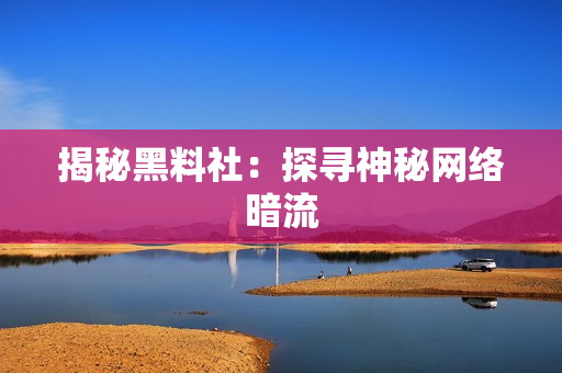 揭秘黑料社：探寻神秘网络暗流