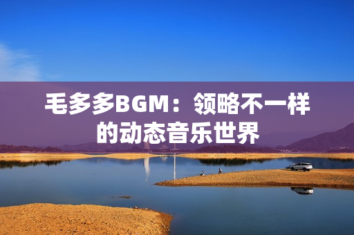 毛多多BGM：领略不一样的动态音乐世界