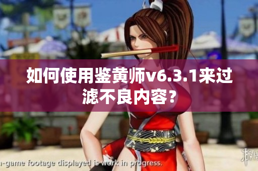 如何使用鉴黄师v6.3.1来过滤不良内容？