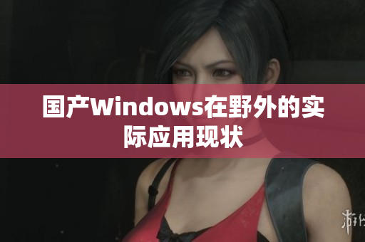 国产Windows在野外的实际应用现状