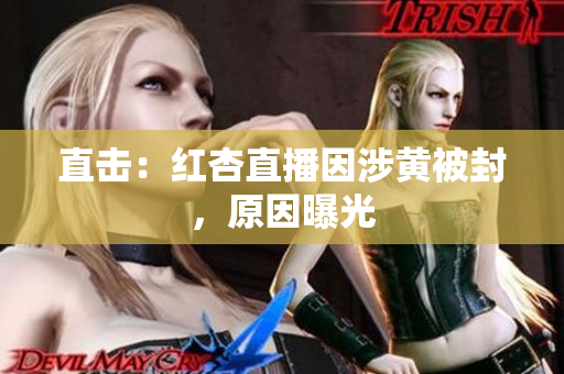 直击：红杏直播因涉黄被封，原因曝光