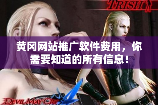 黄冈网站推广软件费用，你需要知道的所有信息！