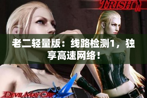 老二轻量版：线路检测1，独享高速网络！