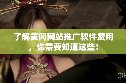 了解黄冈网站推广软件费用，你需要知道这些！