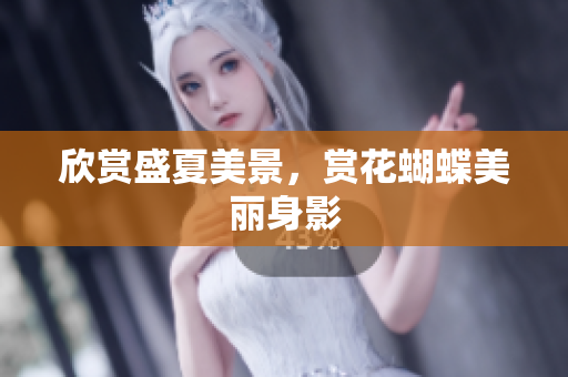欣赏盛夏美景，赏花蝴蝶美丽身影