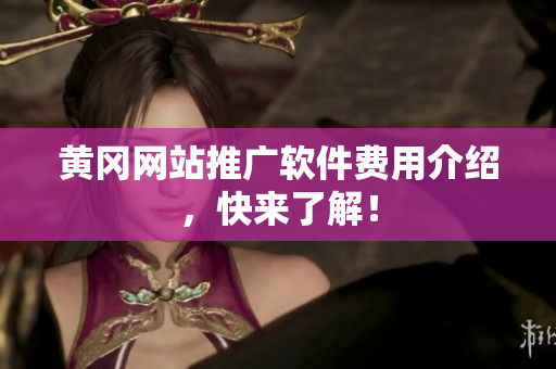 黄冈网站推广软件费用介绍，快来了解！